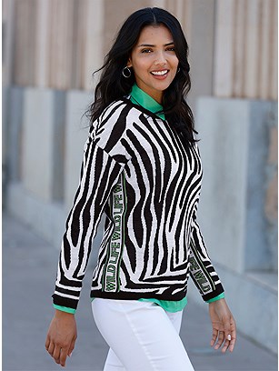 Animal Print Sweater product image (618332.BWPA.1.1_WithBackground)